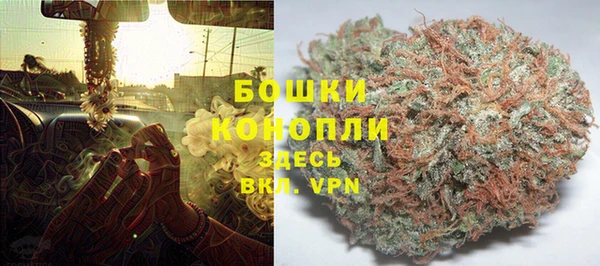 прущие крисы Осинники
